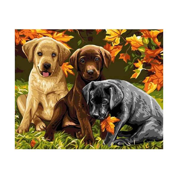 Картина по номерам Тварини, птахи та риби - Три щеночка