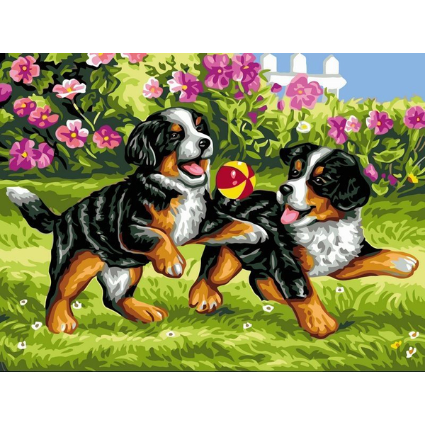 Картина по номерам Тварини, птахи та риби - Щенки с мячиком