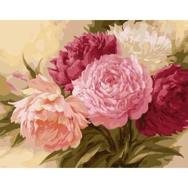 Картина по номерам Квіти - Розовые пионы