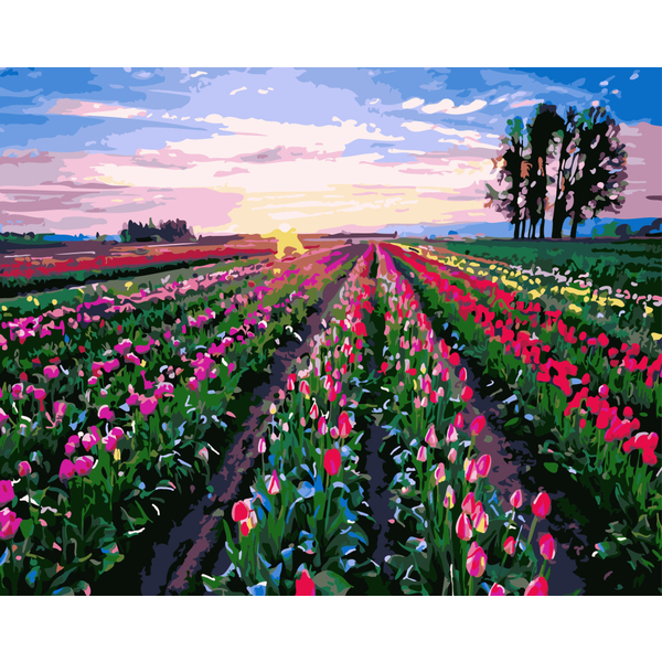 Картина по номерам Квіти - Поле тюльпанов