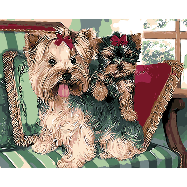 Картина по номерам Тварини, птахи та риби - Йоркширские терьеры