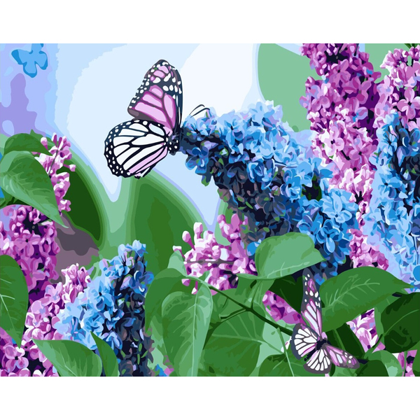 Картина по номерам Квіти - Бабочки и сирень