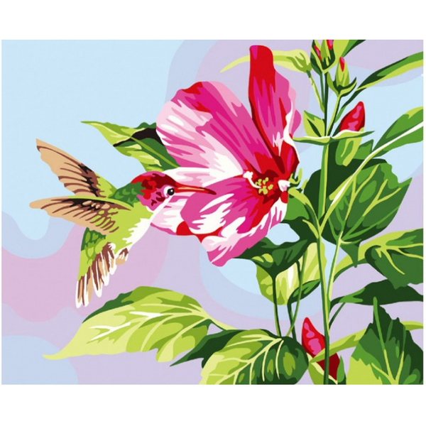 Картина по номерам Квіти - Колибри