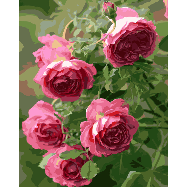 Картина по номерам Квіти - Куст розовых роз