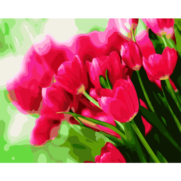 Картина по номерам Квіти - Розовые тюльпаны