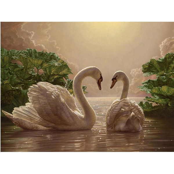 Картина по номерам Тварини, птахи та риби - Пара лебедей