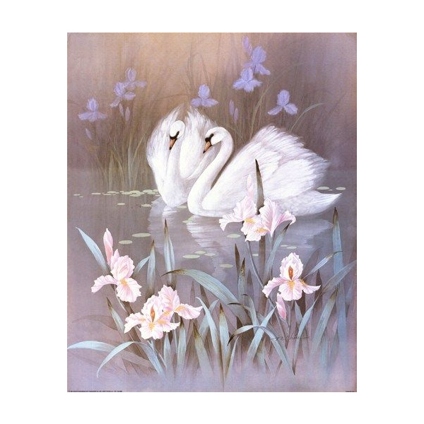 Картина по номерам Тварини, птахи та риби - Лебединая верность