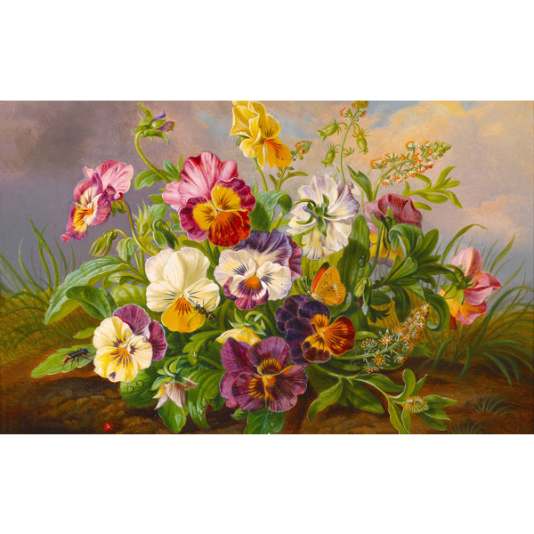 Картина по номерам Квіти - Анютины глазки