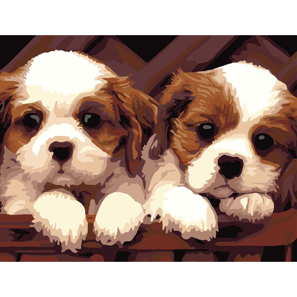 Картина по номерам Тварини, птахи та риби - Песики