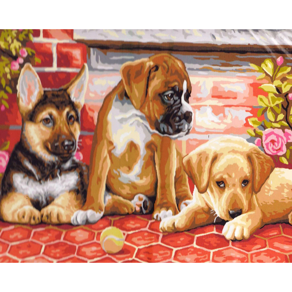 Картина по номерам Тварини, птахи та риби - Собаки