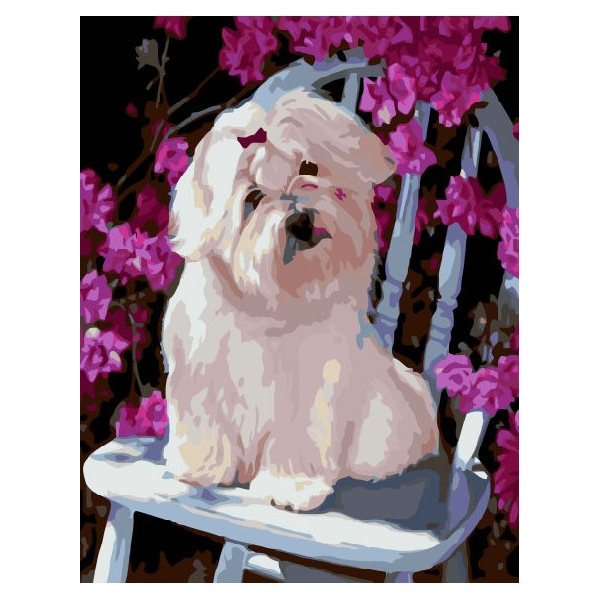 Картина по номерам Тварини, птахи та риби - Песик і квіти