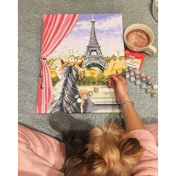 Картина по номерам Тварини, птахи та риби - Париж з вікна