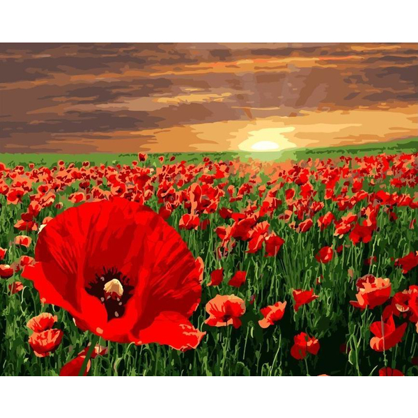 Картина по номерам Квіти - Поле маков