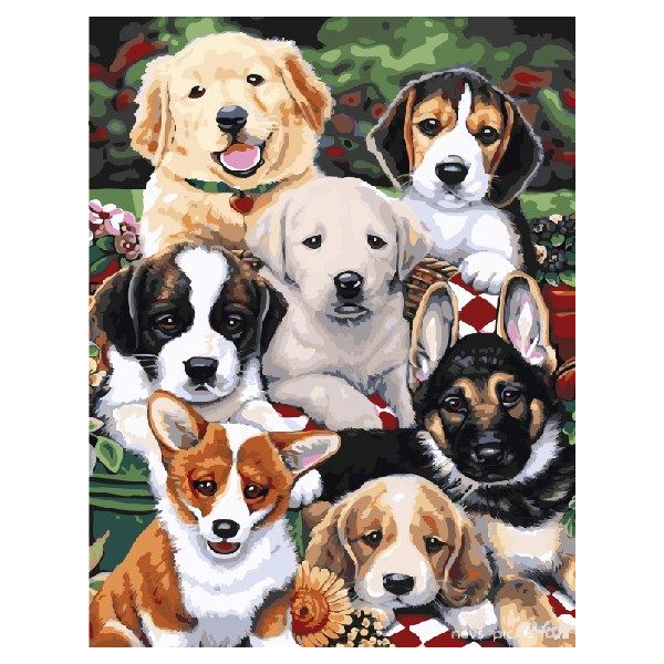 Картина по номерам Тварини, птахи та риби - Цуцики