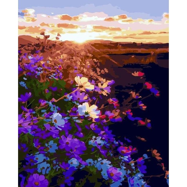 Картина по номерам Пейзажі - Восход солнца на цветочном поле