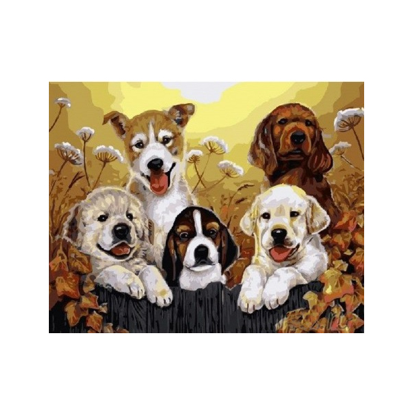 Картина по номерам Тварини, птахи та риби - Маленькі щенята