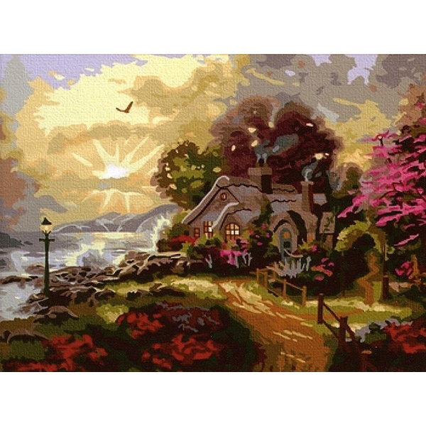 Картина по номерам Квіти - Сказочный дом