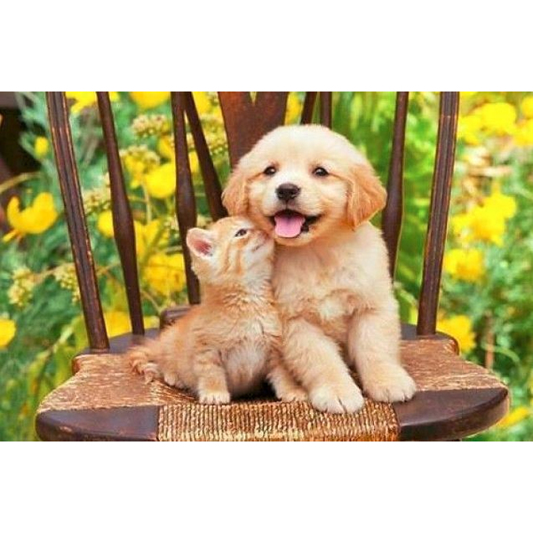 Картина по номерам Тварини, птахи та риби - Друзья на всю жизнь