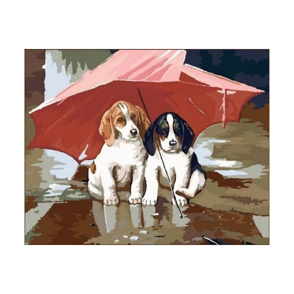 Картина по номерам Тварини, птахи та риби - Собаки под зонтом