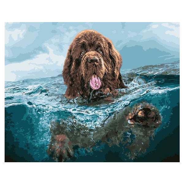 Картина по номерам Тварини, птахи та риби - Собака в море