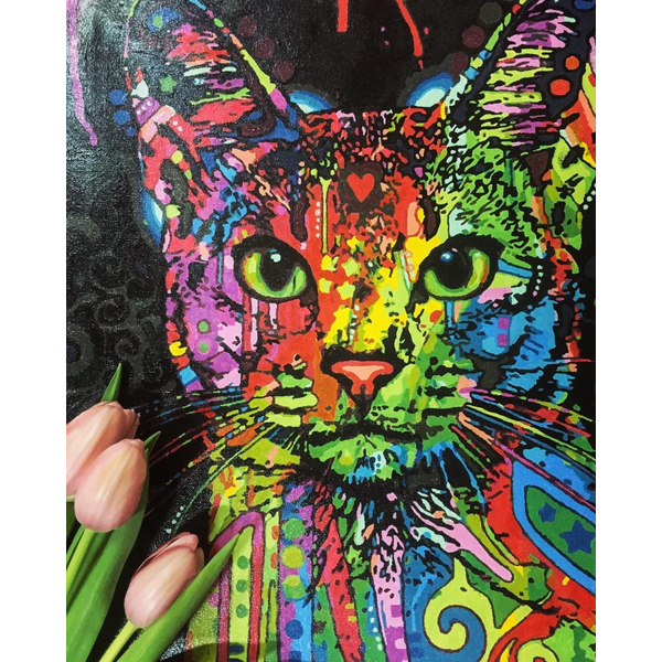 Картина по номерам Преміум картини - Абісинська кішка