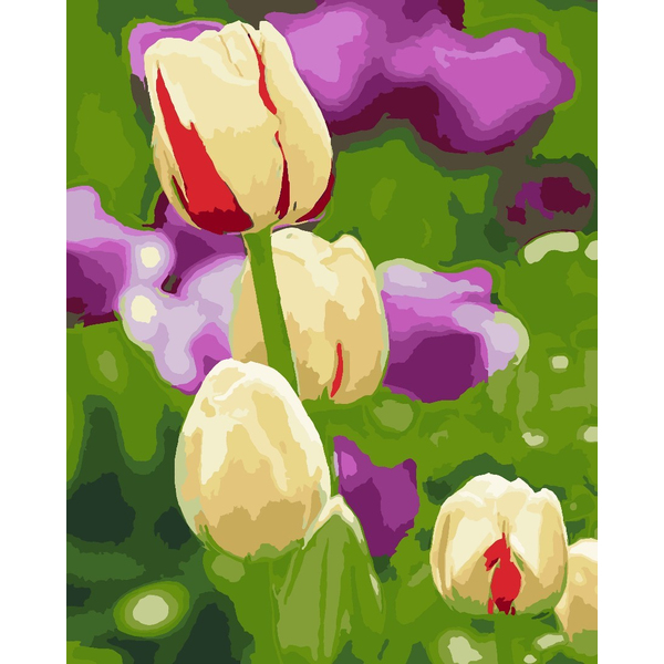 Картина по номерам Преміум картини - Живые тюльпаны