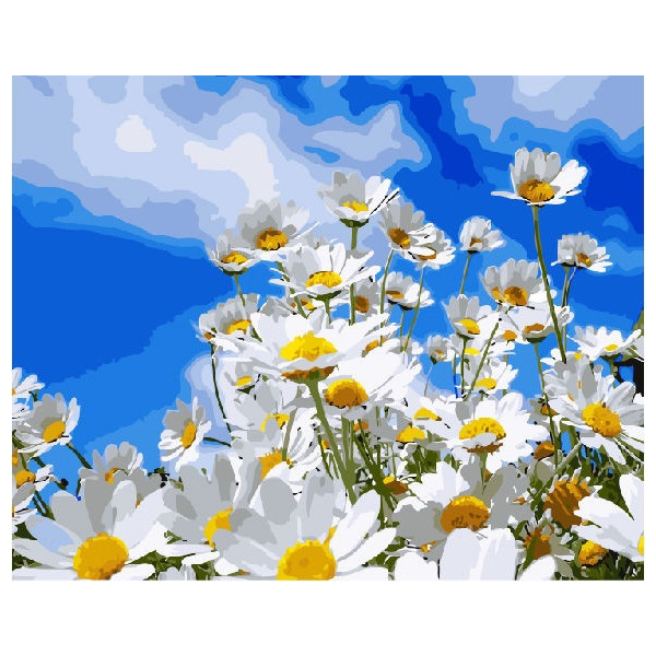 Картина по номерам Квіти - Польові ромашки