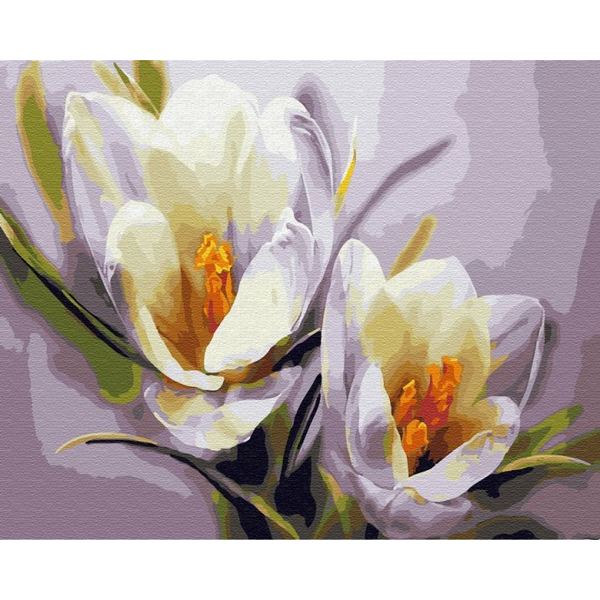 Картина по номерам Квіти - Крокуси