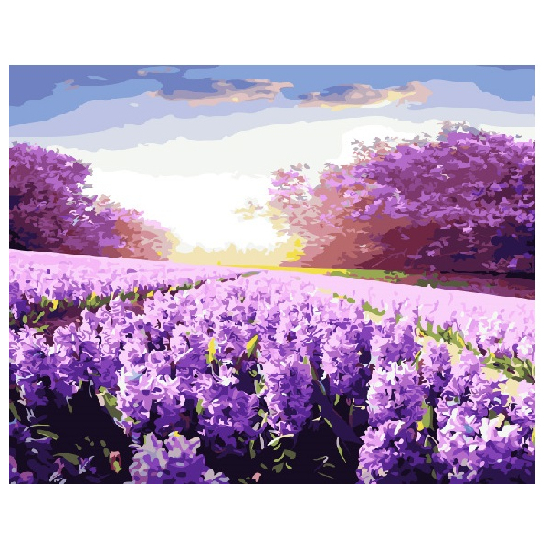 Картина по номерам Пейзажі - Лаванда під сонцем