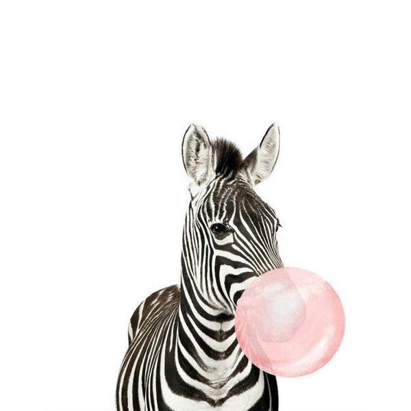 Картина по номерам Тварини, птахи та риби - Зебра з хуба-буба