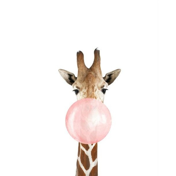 Картина по номерам Тварини, птахи та риби - Жирафа з хуба-буба