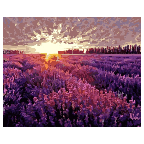Картина по номерам Пейзажі - Лавандовое поле на закате