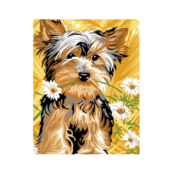 Картина по номерам Тварини, птахи та риби - Йоркширский терьер