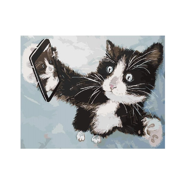 Картина по номерам Мультфільми, комікси, аніме - Кошак в полете