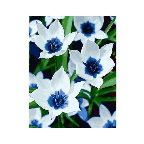 Картина по номерам Квіти - Білосніжні квіти