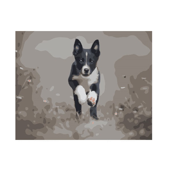 Картина по номерам Тварини, птахи та риби - Дружок, який біжить