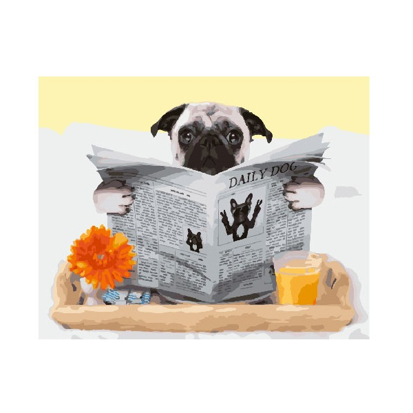 Картина по номерам Тварини, птахи та риби - Мопс з газетою