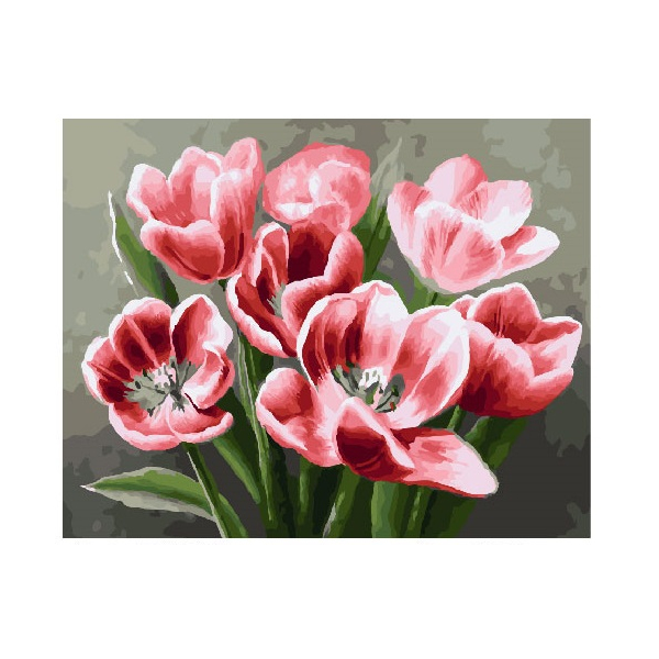 Картина по номерам Квіти - Червоні тюльпани