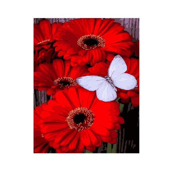 Картина по номерам Для початківців - Метелик на Герберах