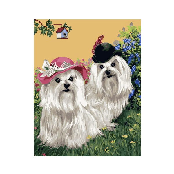 Картина по номерам Тварини, птахи та риби - Кошлаті білі болонки