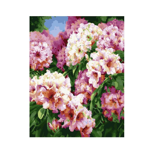 Картина по номерам Квіти - Садові піони