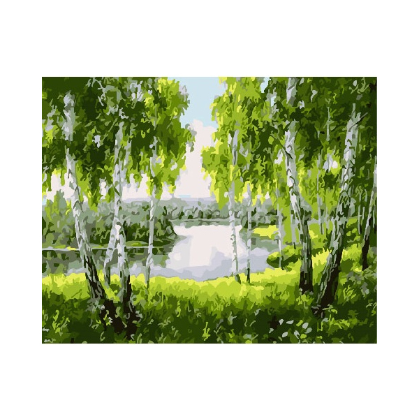 Картина по номерам Пейзажі - Березовая пуща