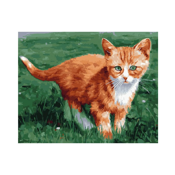 Картина по номерам Тварини, птахи та риби - Рижик