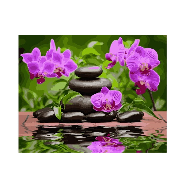 Картина по номерам Квіти - Отражение цветов