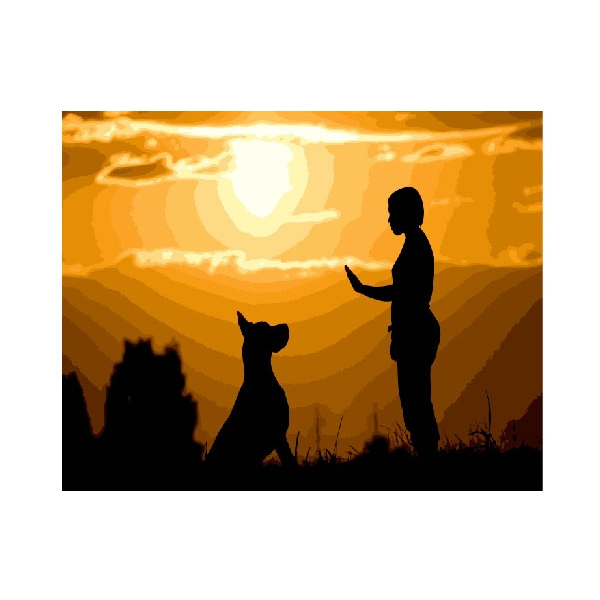 Картина по номерам Тварини, птахи та риби - Дружба в тіні