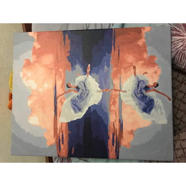 Картина по номерам Авторські колекції - Відображення легкості