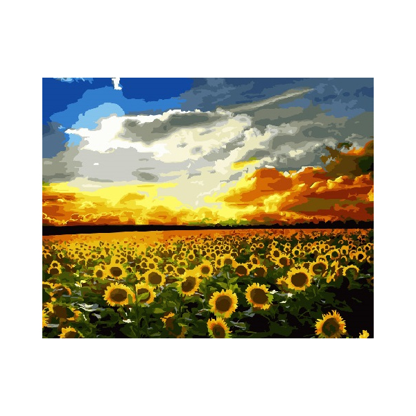 Картина по номерам Квіти - Поле подсолнух