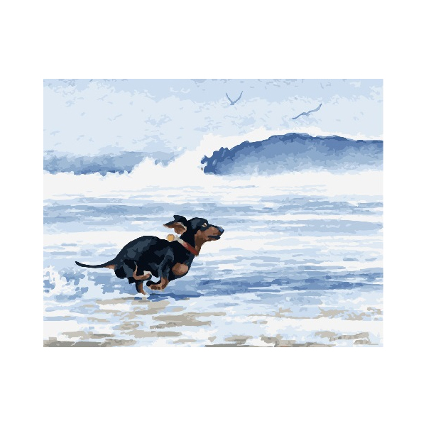 Картина по номерам Тварини, птахи та риби - Такса біжить від морської хвилі