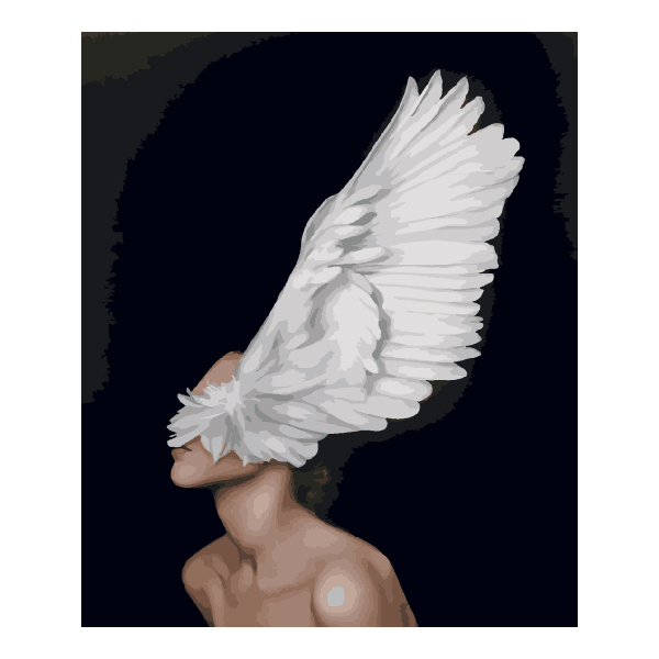 Картина по номерам Авторські колекції - Крило душі