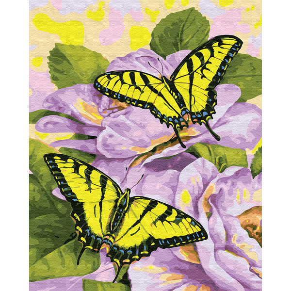 Картина по номерам Тварини, птахи та риби - Нежные бабочки